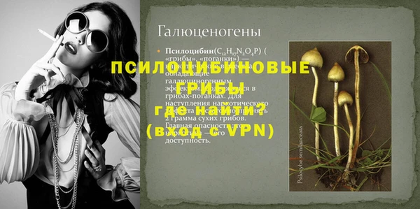 дживик Алексин