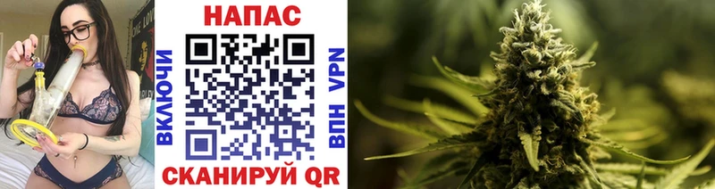 Бошки марихуана OG Kush Сатка